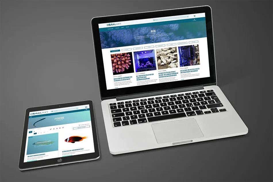 Screenshots der Website Coralaxy als Beispiel zur Positionierung als Spezialist