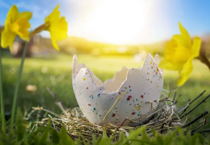 Fête de Pâques & temps de printemps - c'est ainsi que tes designs s'épanouissent!