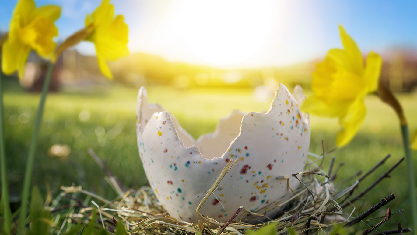 Osterfest & Frühlingszeit – so blühen deine Designs richtig auf!