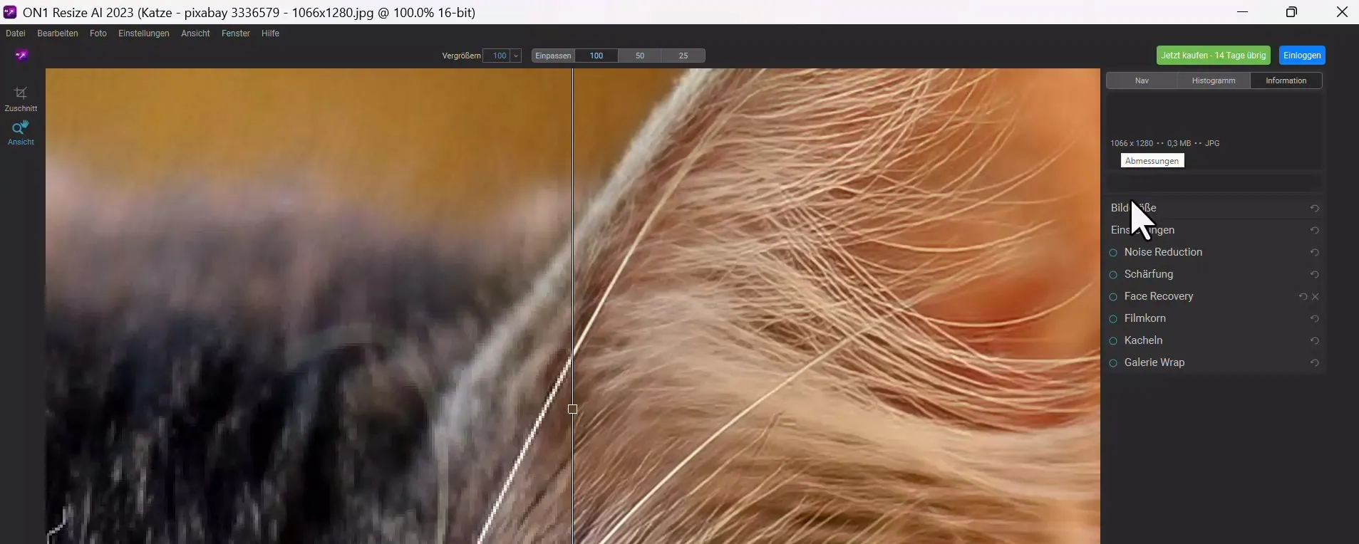 Zdarma zvětšujte obrázky pomocí ON1 Resize