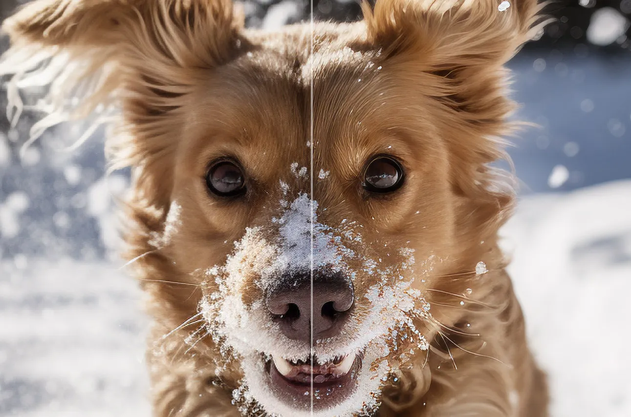 Ein unscharfes Foto von einem Hund nachgeschärft