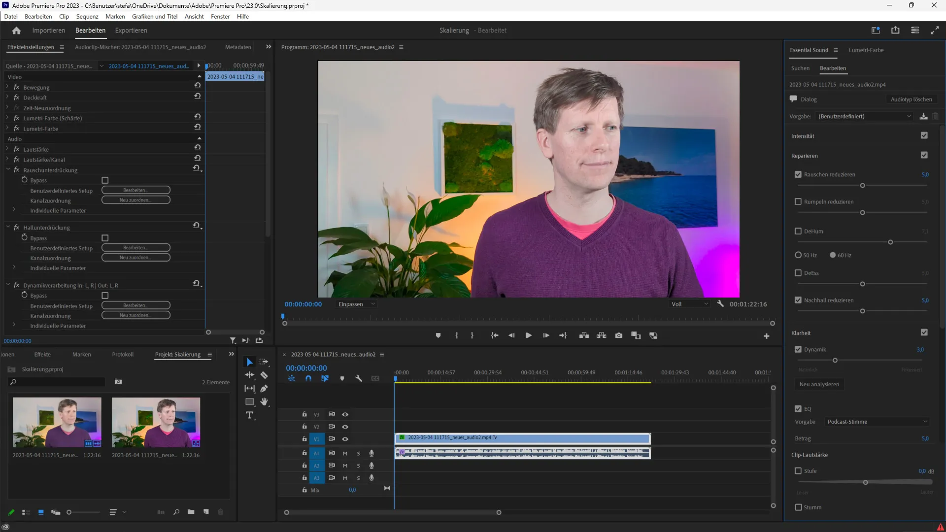 In Adobe Premiere Rauschen und Hall entfernen