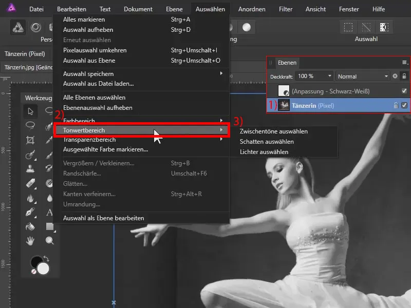 Tutorial di Affinity Photo: Trovi la gamma dei toni in Affinity Photo sotto Selezione.