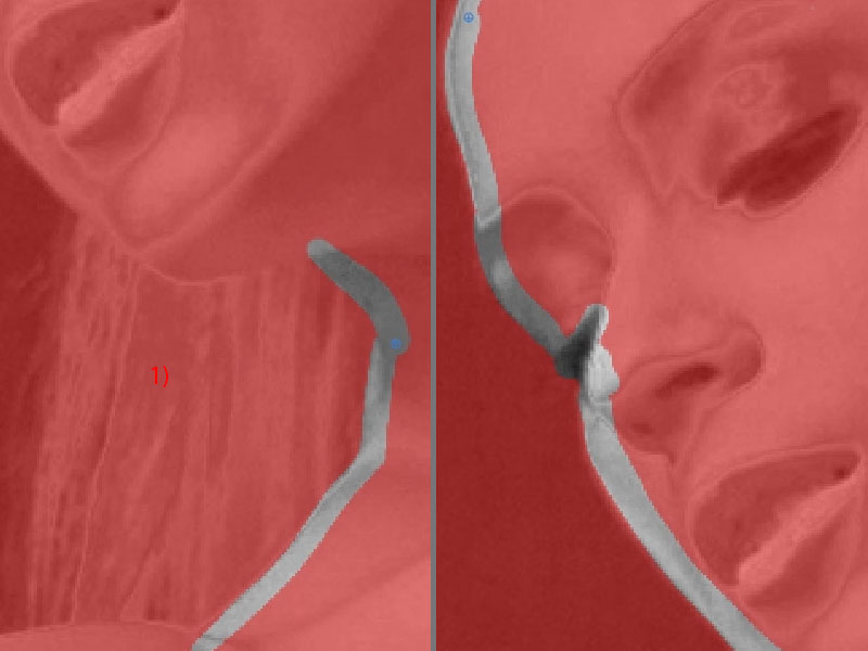 Leertaste und die Taste X – das sind deine Abkürzungen zu einem schnellen Ergebnis. Mit dem Malpinsel auf der QuickMaske von Affinity Photo Konturen abfahren