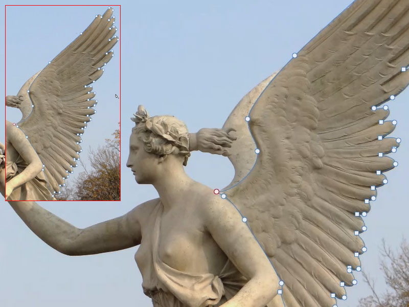 Das Ergebnis: Die Kontur des Flügels wurde nun vollständig mit einem Pfad abgefahren. Kontur eines Motivs mit dem Zeichenstift von Affinity Photo ausgewählt