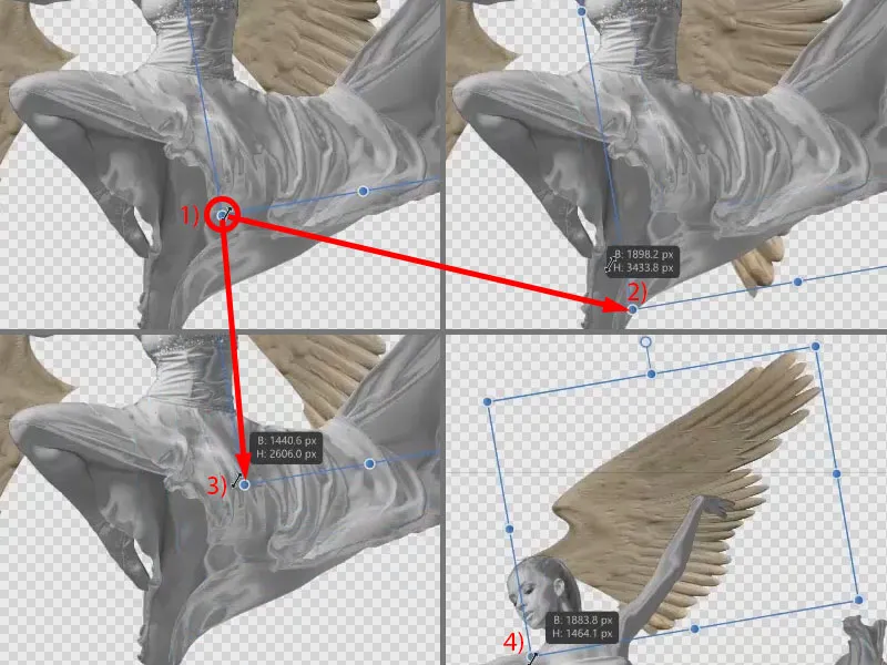 Affinity Photo: Motive proportional und unproportional transformieren