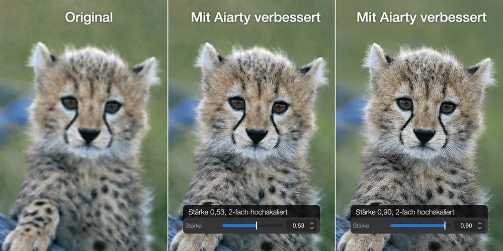 Aiarty image enhancer pic3 inhalt