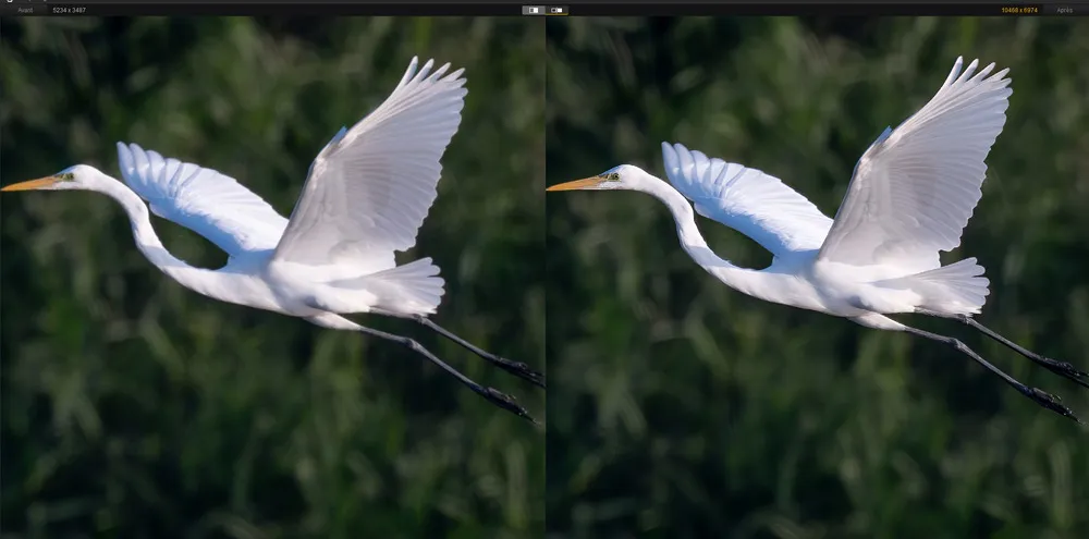 Aiarty image enhancer pic4 inhalt