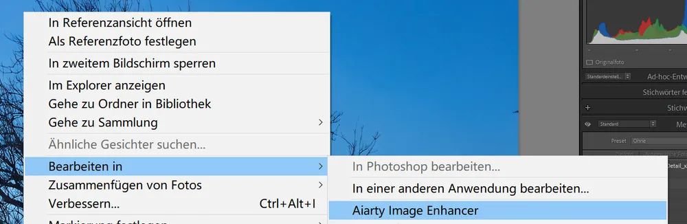 Aiarty image enhancer pic8 inhalt