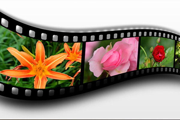 Photoshop-Handling: Lysbildeskinne buet