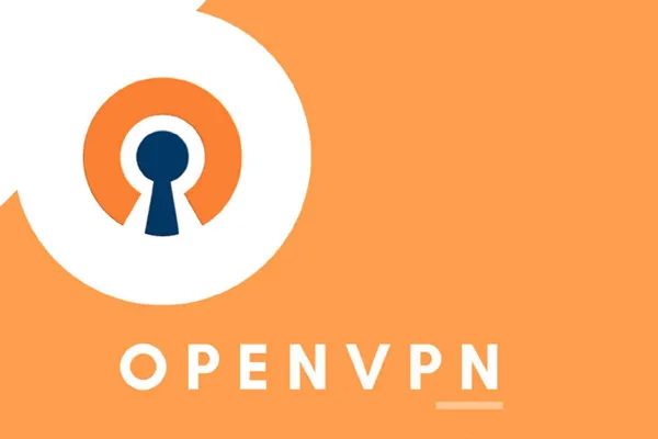 OpenVPN: Langkah demi langkah menuju server pribadi (E-Book)