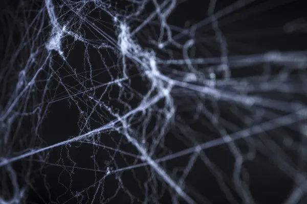 High-resolution textures: cobwebs, spider webs - Version 01