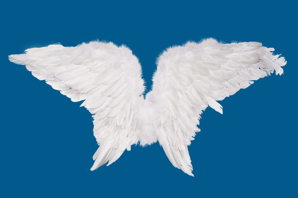 Fantásticas fotos de alas de ángel blancas