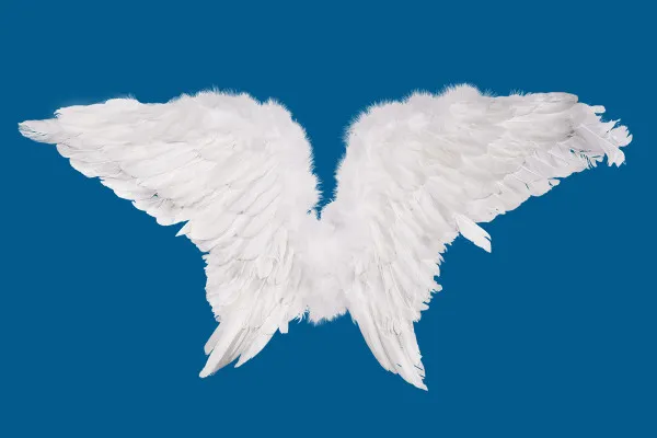 Fantastische Flügel-Bilder mit weißen Engelsflügeln