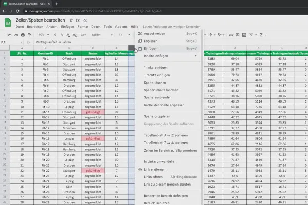 Google Sheets Tutorial : 5.1 Modifier les lignes et les colonnes.