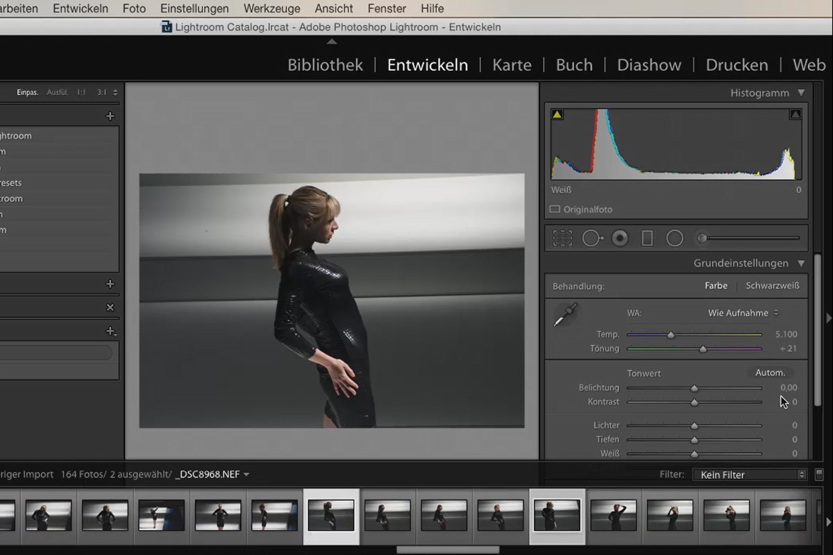 Lightroom para principiantes y usuarios de nivel intermedio: 01 - Introducción - 1.2 - La interfaz de Lightroom