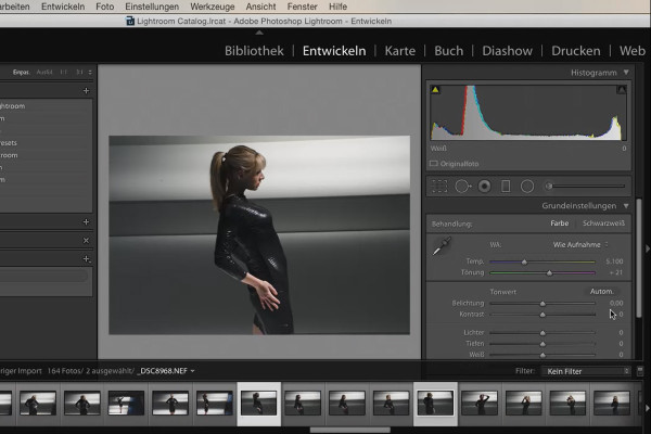 Lightroom pour débutants et initiés : 01 - Introduction - 1.2 - L'interface de Lightroom