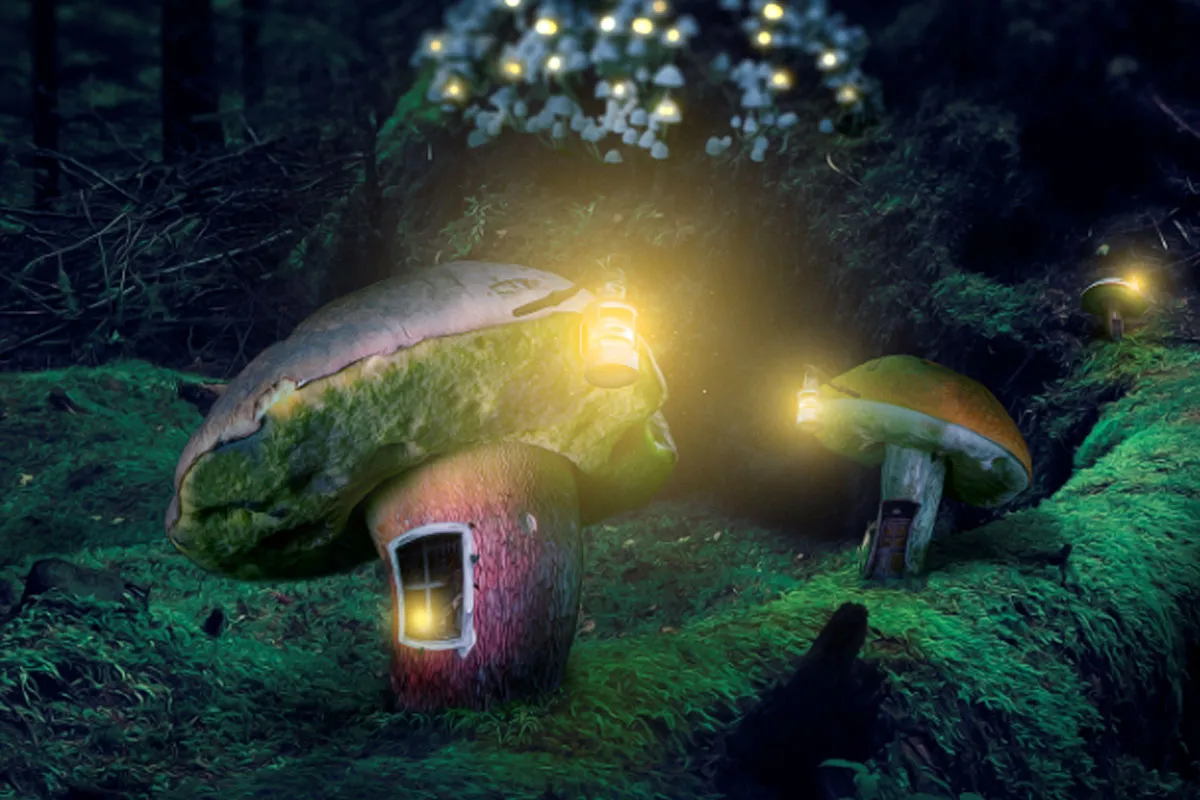 Αυτό περιμένει εσάς στο βίντεο μάθημα "Fantasy Photoshop Montage: Το χωριό
