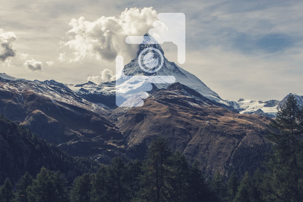 What you can expect in the video training "Logo development for photographers"
