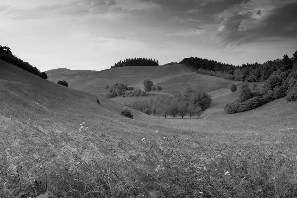 Esiasetus maisemakuvia varten: 01 | BW Light