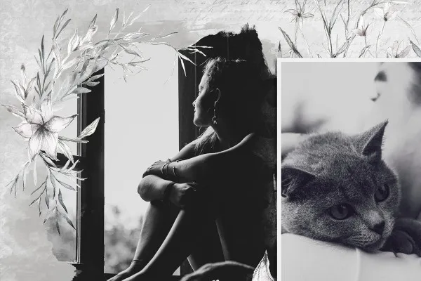 Photo collage "Shades": 5 picture frames in the middle of delicately sketched plants