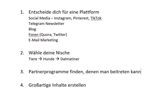 Marketing partnerski: 2.6 | Masterplan - Kroki do sukcesu
