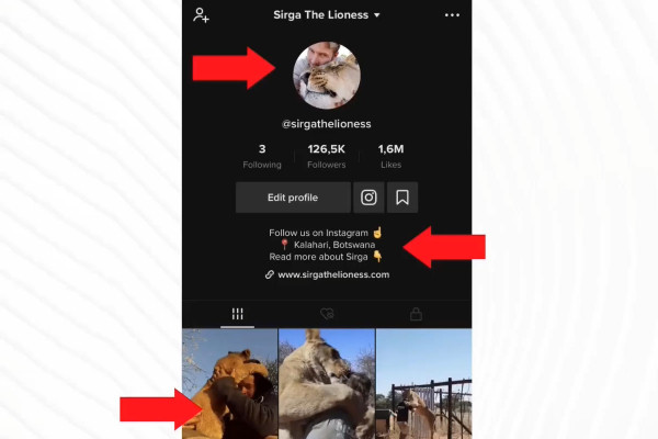 Affiliation marketing: 20.1 | Qu'est-ce que TikTok?