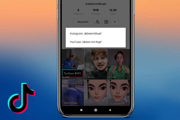 TikTok-marknadsföringshandledning: 4.2 | Länk i TikTok-biografin
