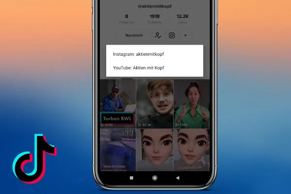 TikTok Pazarlama Kılavuzu: 4.2 | TikTok Biyografisindeki Bağlantı