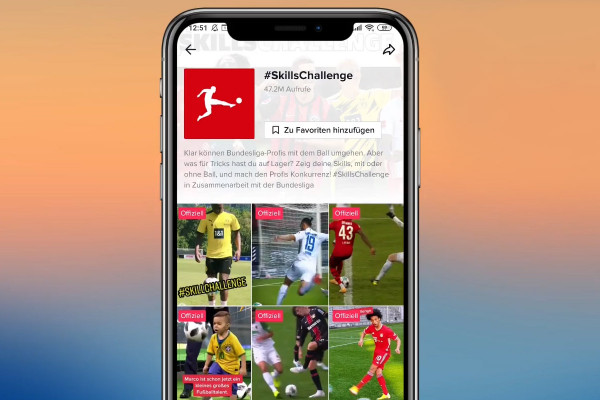 TikTok-marknadsföringshandledning: 6.2 | TikTok-inlägg: Beståndsdelar - Översikt