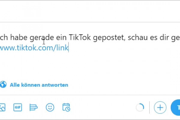 TikTok-marknadsföringshandledning: 12.6 | Annonsera TikTok-profil: Twitter