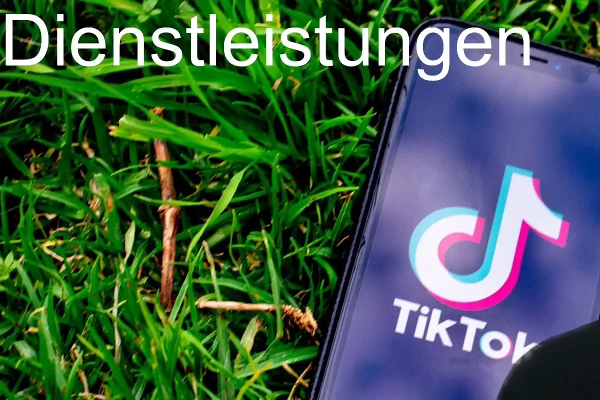 TikTok-Marketing-Tutorial: 17.3 | Dienstleistungen