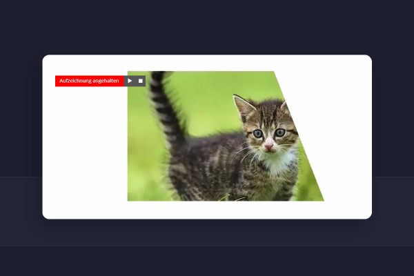 Tutorial de Zoom: 5.4 | Grabar reuniones con Zoom