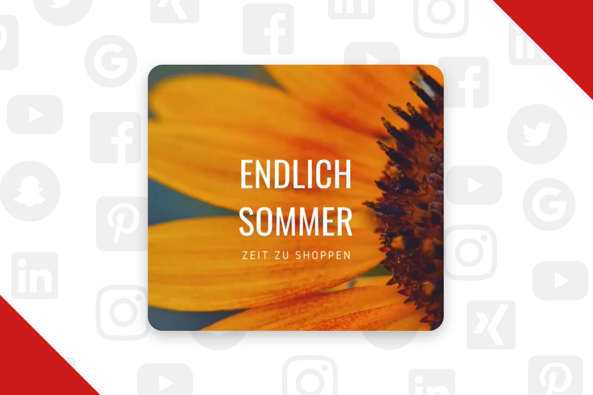 Pinterest-markkinointi 8.3 | Pin-vaihtoehdot helposti luoda (Osa 1)