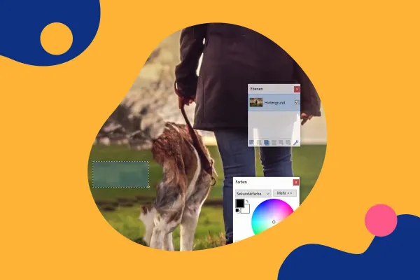 Tutorial Paint.NET 5.3. | Timbro e clonazione