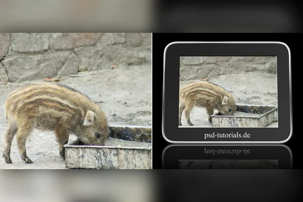Photoshopi tegevus: digitaalne pildiraam