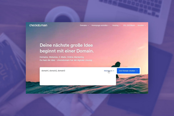 Elementor for WordPress: 2.2 | Domain check Which domain do I want?