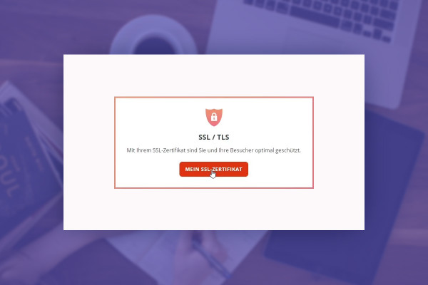 Elementor for WordPress: 2.5 | Don't forget your SSL certificate!