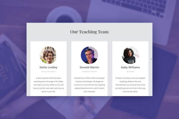 Elementor for WordPress: 13.2 | Motion effects