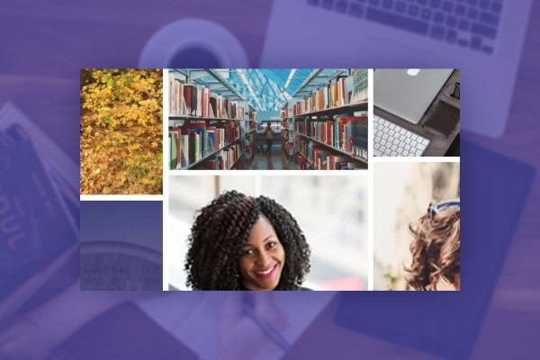 Elementor for WordPress: 20.2 | Gallery