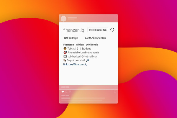 Marketing en Instagram: 5,3 | Descripción de Instagram