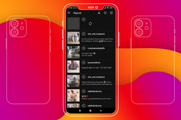 Marketing en Instagram: 20,5 | ¿Dónde consigo las publicaciones y cómo las publico?
