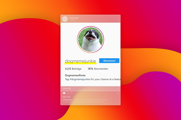 Instagram marketing: 20.2 | Elegir nicho y nombre