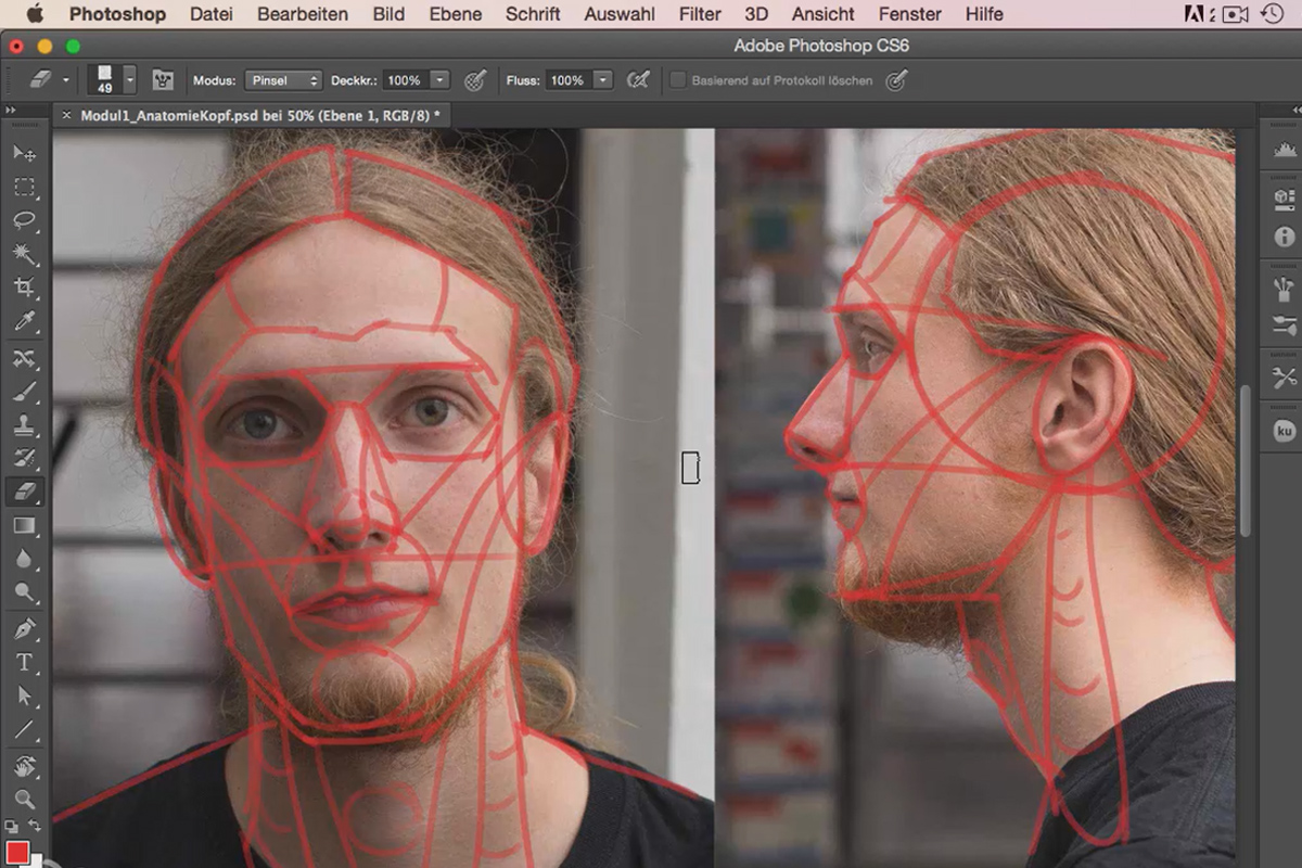 Hahmonmaalaus Photoshopissa - Moduuli 1.2 Pään anatomia