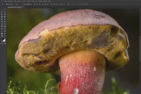 Compositing in Photoshop: das Dorf – 3 Freistellungen