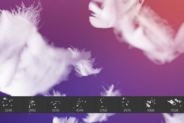 Photoshop ve diğerleri için fırça: Tüy desenleri 3