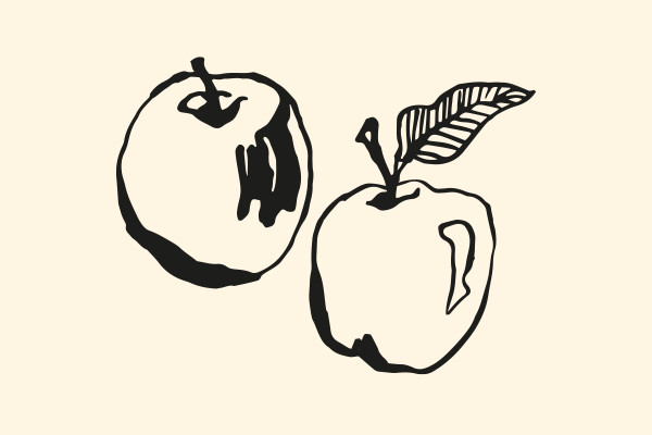 Ilustraciones con frutas y verduras