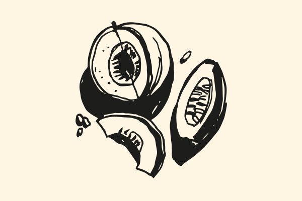 Ilustraciones con frutas