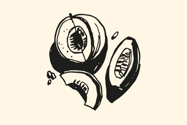 Illustrationen mit Früchten