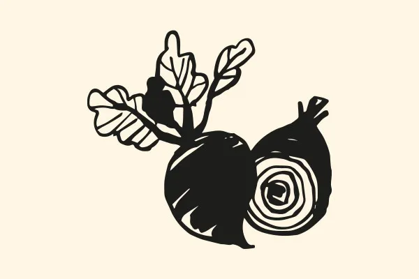 Illustrationen mit Gemüse